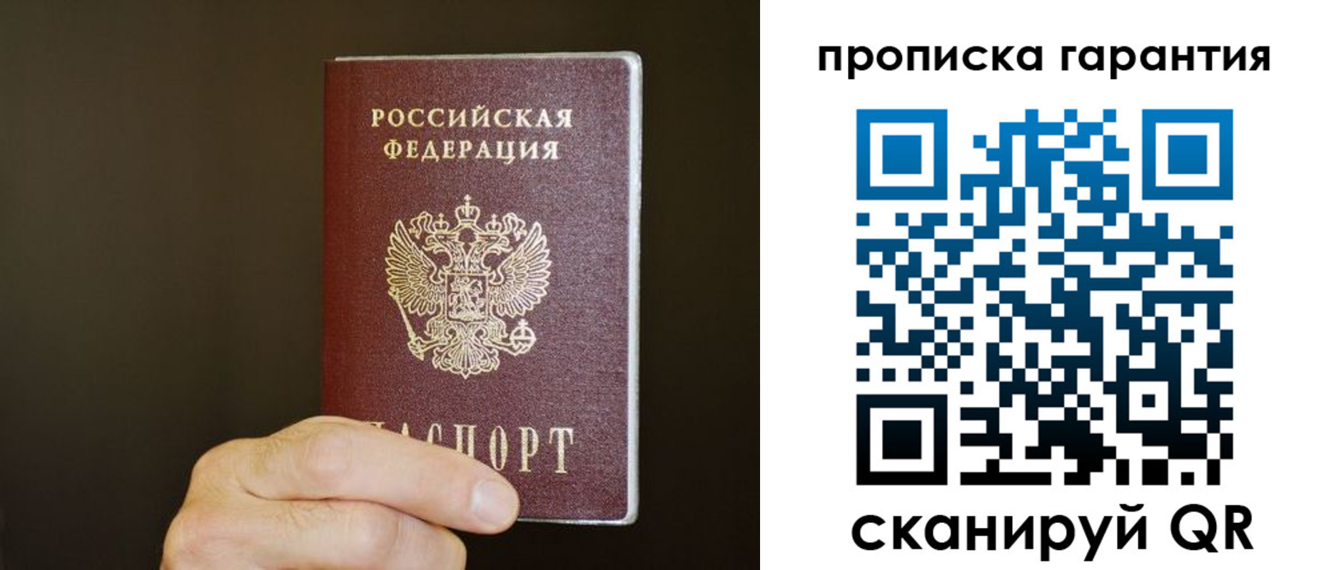 временная регистрация гарантия в Фрязино