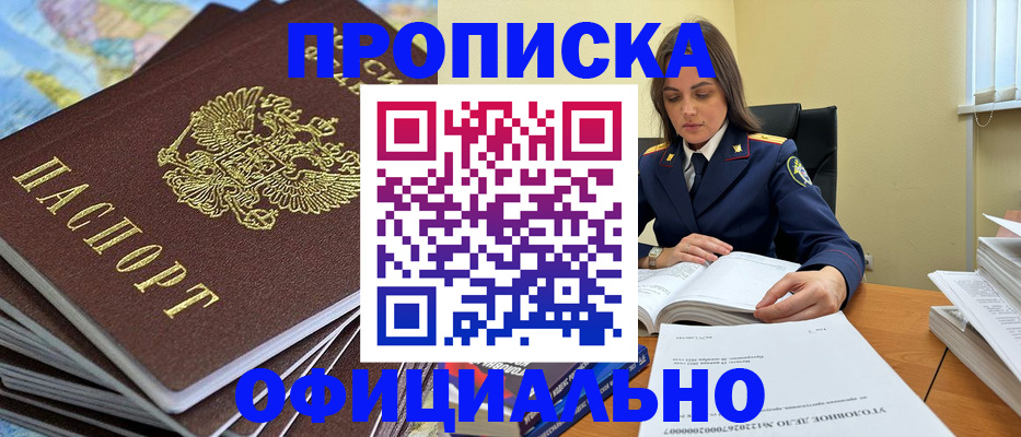 прописка для школы в Фрязино